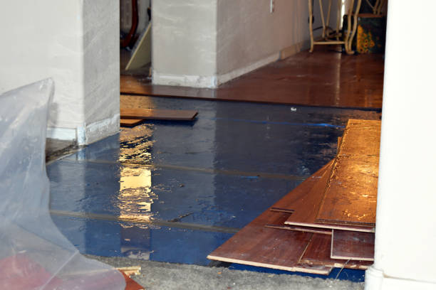 Professional Burst Pipe Cleanup technician working in Sturgeon, MO